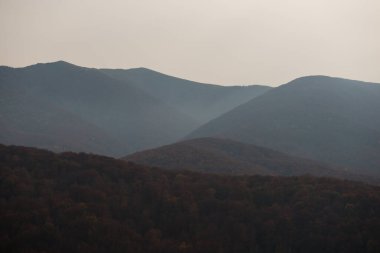 Bozeva Dağı 'nda sonbahar ve Ukrayna' nın Karpat Dağları 'nda Borzhava Sıradağları manzarası