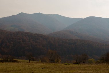 Bozeva Dağı 'nda sonbahar ve Ukrayna' nın Karpat Dağları 'nda Borzhava Sıradağları manzarası