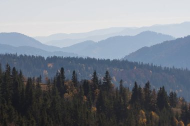 Ukrayna 'nın Slavsko kasabası yakınlarındaki Karpatlar' ın Beskid bölgesinde sonbahar mevsimi