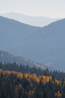 Ukrayna 'nın Slavsko kasabası yakınlarındaki Karpatlar' ın Beskid bölgesinde sonbahar mevsimi
