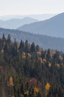 Ukrayna 'nın Slavsko kasabası yakınlarındaki Karpatlar' ın Beskid bölgesinde sonbahar mevsimi