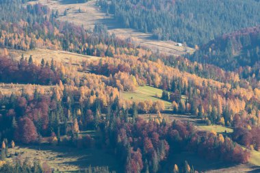 Ukrayna 'nın Slavsko kasabası yakınlarındaki Karpatlar' ın Beskid bölgesinde sonbahar mevsimi