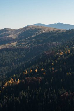 Ukrayna 'nın Slavsko kasabası yakınlarındaki Karpatlar' ın Beskid bölgesinde sonbahar mevsimi