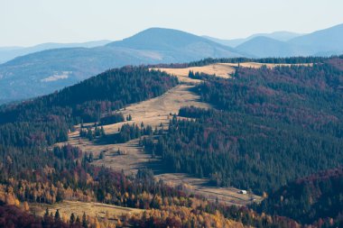 Ukrayna 'nın Slavsko kasabası yakınlarındaki Karpatlar' ın Beskid bölgesinde sonbahar mevsimi