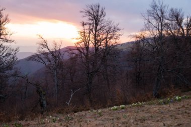 Borzhava 'da bahar Karpat Dağları, Ukrayna