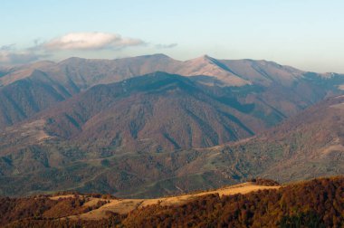 Ukrayna 'nın Karpatlar Dağları' nın Krasna bölgesinde sonbahar mevsimi