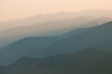 Karpatya Biyosfer Rezervi 'nde sonbahar, koruma altındaki doğal kayın ormanları, Karpatlar Dağları, Ukrayna