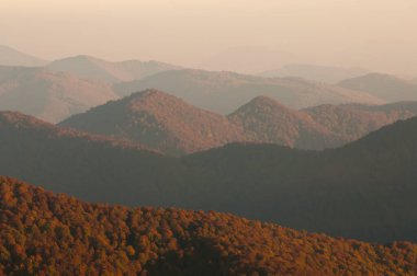 Karpatya Biyosfer Rezervi 'nde sonbahar, koruma altındaki doğal kayın ormanları, Karpatlar Dağları, Ukrayna