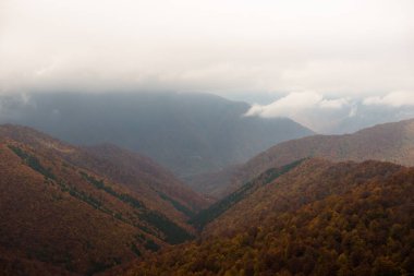 Ukrayna 'nın Karpatlar Dağları' nın Krasna bölgesinde sonbahar mevsimi