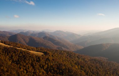 Karpatya Biyosfer Rezervi 'nde sonbahar, koruma altındaki doğal kayın ormanları, Karpatlar Dağları, Ukrayna