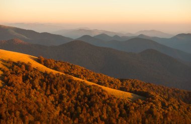 Karpatya Biyosfer Rezervi 'nde sonbahar, koruma altındaki doğal kayın ormanları, Karpatlar Dağları, Ukrayna