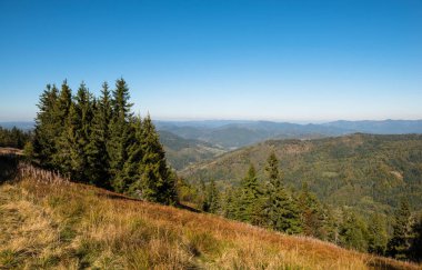 Ukrayna 'nın Slavsko kasabası yakınlarındaki Karpatlar' ın Beskid bölgesinde sonbahar mevsimi