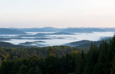 Karpat Dağları Beskid bölgesinde sonbahar, Ukrayna