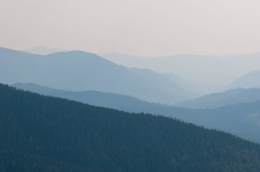 Karpat Dağları 'nın Gorgany bölgesinde yaz manzarası, Ukrayna