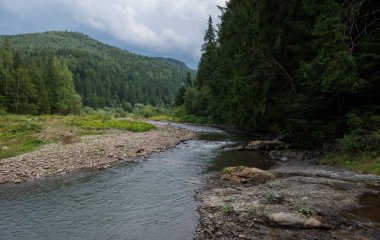 Karpat Dağları 'nın Gorgany bölgesindeki Svitca dağı nehri, Ukrayna