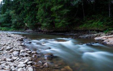 Karpat Dağları 'nın Gorgany bölgesindeki Svitca dağı nehri, Ukrayna