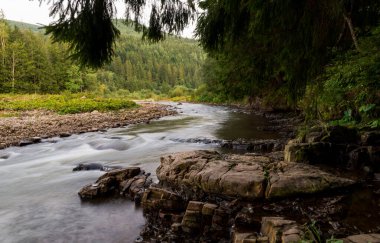 Karpat Dağları 'nın Gorgany bölgesindeki Svitca dağı nehri, Ukrayna