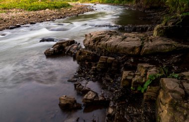 Karpat Dağları 'nın Gorgany bölgesindeki Svitca dağı nehri, Ukrayna