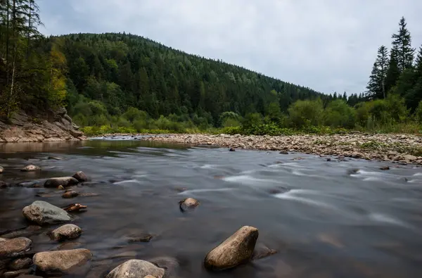 Karpat Dağları 'nın Gorgany bölgesindeki Svitca dağı nehri, Ukrayna