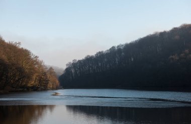 Baharın başlarında Barvinok Gölü, Ukrayna 'nın Lviv bölgesinde kayın ormanlarıyla çevrilidir.