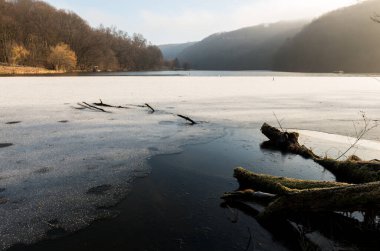 Baharın başlarında Barvinok Gölü, Ukrayna 'nın Lviv bölgesinde kayın ormanlarıyla çevrilidir.