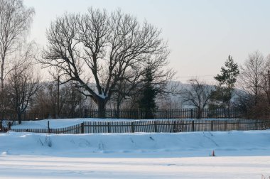 Yavoriv Ulusal Doğa Parkı bir kış sabahı, Ukrayna