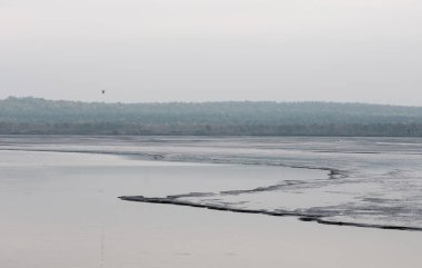 Yavoriv Ulusal Doğa Parkının sonbahar sabahı manzarası, Ukrayna