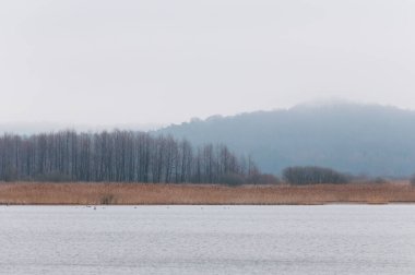 Yavoriv Ulusal Doğa Parkı Yağmurlu bir sabah, Ukrayna