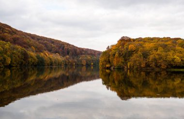 Barvinok Gölü, Ukrayna 'nın Lviv bölgesinde sonbaharda kayın ormanlarıyla çevrilidir.