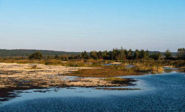 Yavoriv Ulusal Doğa Parkının sonbahar sabahı manzarası, Ukrayna