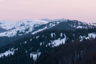 Slavsko kasabası yakınlarındaki kış manzarası, Karpat Dağları, Ukrayna