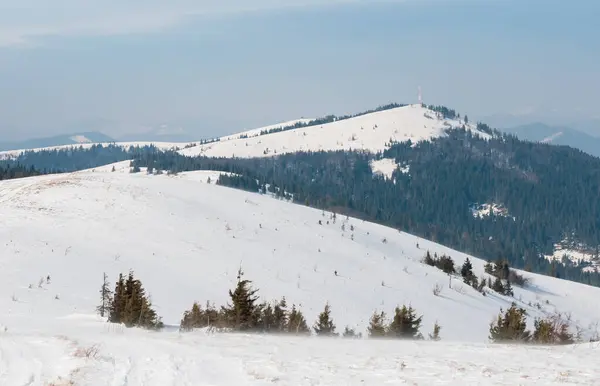 Slavsko kasabası yakınlarındaki kış manzarası, Karpat Dağları, Ukrayna