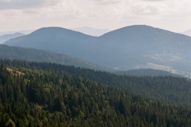 Ukrayna 'nın Slavsko kasabası yakınlarındaki Karpatlar' ın Beskid bölgesinde yaz mevsimi