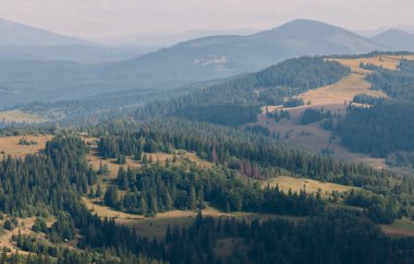 Ukrayna 'nın Slavsko kasabası yakınlarındaki Karpatlar' ın Beskid bölgesinde yaz mevsimi