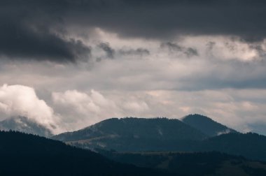 Ukrayna 'nın Slavsko kasabası yakınlarındaki Karpatlar' ın Beskid bölgesinde yaz mevsimi