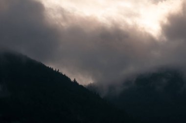 Ukrayna 'nın Slavsko kasabası yakınlarındaki Karpatlar' ın Beskid bölgesinde yaz mevsimi