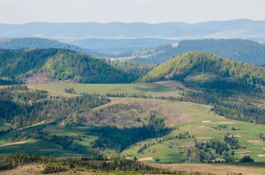 Ukrayna 'nın Pikui Dağı yakınlarındaki Karpatlar' ın Beskid bölgesinde bahar mevsimi