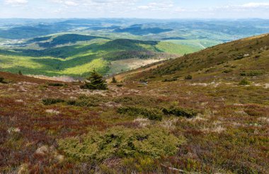 Spring in Beskid region of Carpathians Mountains near Mount Pikui, Ukraine clipart