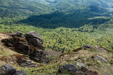 Ukrayna 'nın Pikui Dağı yakınlarındaki Karpatlar' ın Beskid bölgesinde bahar mevsimi
