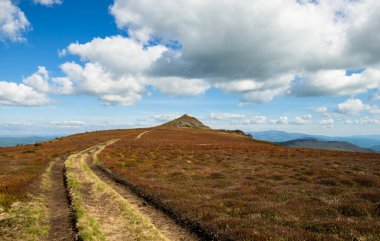 Spring in Beskid region of Carpathians Mountains near Mount Pikui, Ukraine clipart