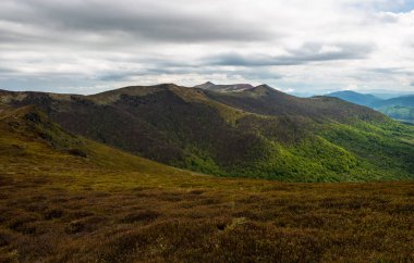 Ukrayna 'nın Pikui Dağı yakınlarındaki Karpatlar' ın Beskid bölgesinde bahar mevsimi