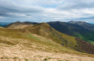 Spring in Beskid region of Carpathians Mountains near Mount Pikui, Ukraine clipart