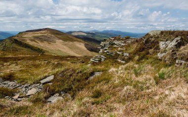 Ukrayna 'nın Pikui Dağı yakınlarındaki Karpatlar' ın Beskid bölgesinde bahar mevsimi