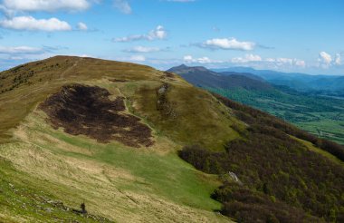 Spring in Beskid region of Carpathians Mountains near Mount Pikui, Ukraine clipart