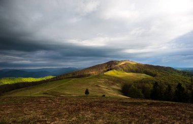 Spring in Beskid region of Carpathians Mountains near Mount Pikui, Ukraine clipart