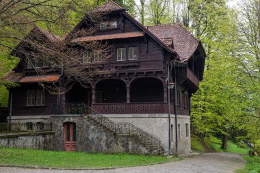 İlkbaharda Peles Kalesi yakınlarındaki Houser, Romanya 'daki Karpatya dağları