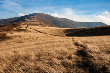 Karpat Dağları, Ukrayna 'da Borzava sıradağlarında sonbahar