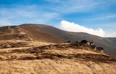 Karpat Dağları, Ukrayna 'da Borzava sıradağlarında sonbahar