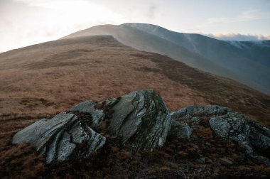 Karpat Dağları, Ukrayna 'da Borzava sıradağlarında sonbahar