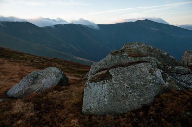 Karpat Dağları, Ukrayna 'da Borzava sıradağlarında sonbahar